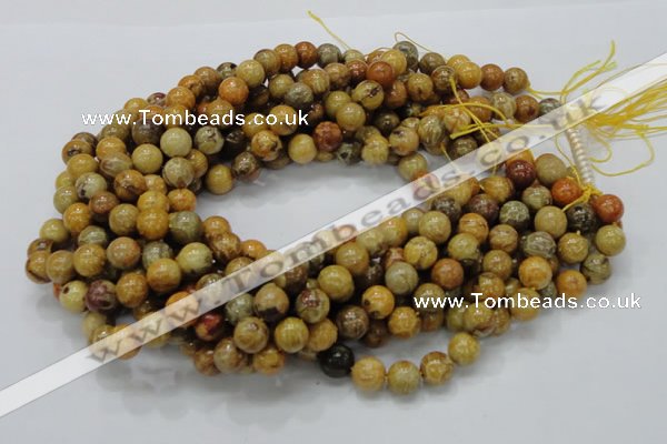 CFA33 15.5 inches 10mm round yellow chrysanthemum agate beads