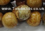 CFA34 15.5 inches 20mm round yellow chrysanthemum agate beads