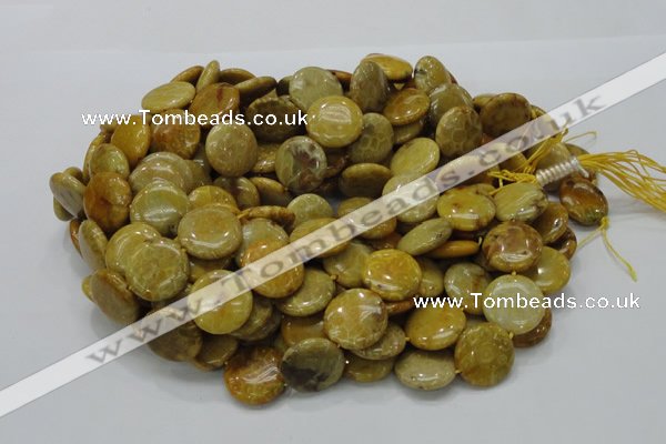 CFA43 15.5 inches 20mm flat round yellow chrysanthemum agate beads