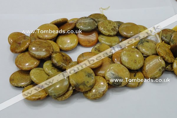 CFA45 15.5 inches 30mm flat round yellow chrysanthemum agate beads