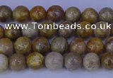 CFC200 15.5 inches 4mm round fossil coral beads wholesale