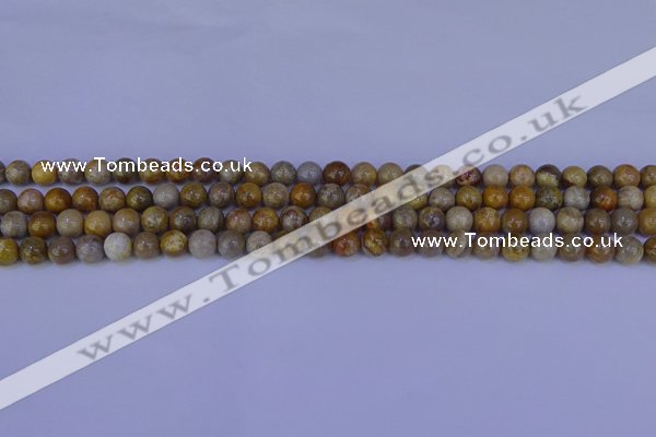 CFC200 15.5 inches 4mm round fossil coral beads wholesale