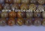 CFC201 15.5 inches 6mm round fossil coral beads wholesale