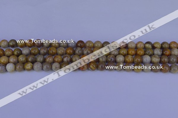 CFC201 15.5 inches 6mm round fossil coral beads wholesale