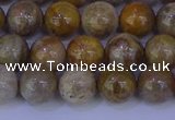 CFC202 15.5 inches 8mm round fossil coral beads wholesale