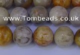 CFC203 15.5 inches 10mm round fossil coral beads wholesale