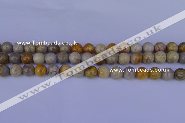 CFC203 15.5 inches 10mm round fossil coral beads wholesale