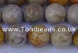 CFC204 15.5 inches 12mm round fossil coral beads wholesale