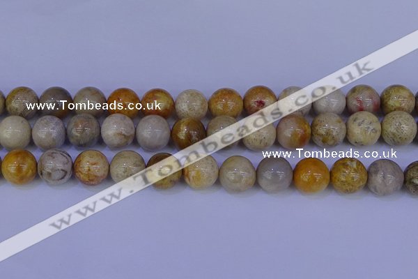 CFC205 15.5 inches 14mm round fossil coral beads wholesale