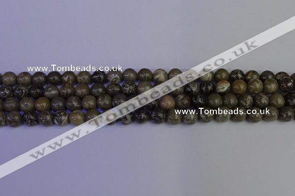 CFC212 15.5 inches 8mm round grey fossil coral beads wholesale