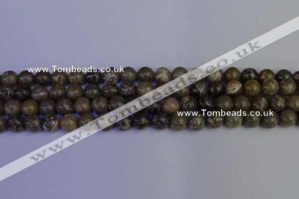 CFC213 15.5 inches 10mm round grey fossil coral beads wholesale