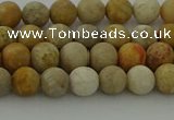 CFC221 15.5 inches 6mm round matte fossil coral beads wholesale