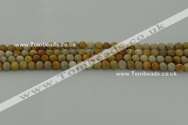 CFC221 15.5 inches 6mm round matte fossil coral beads wholesale