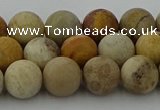 CFC222 15.5 inches 8mm round matte fossil coral beads wholesale