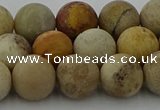 CFC223 15.5 inches 10mm round matte fossil coral beads wholesale