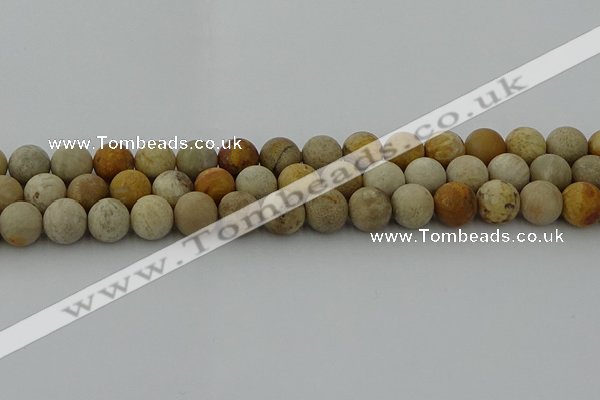 CFC223 15.5 inches 10mm round matte fossil coral beads wholesale