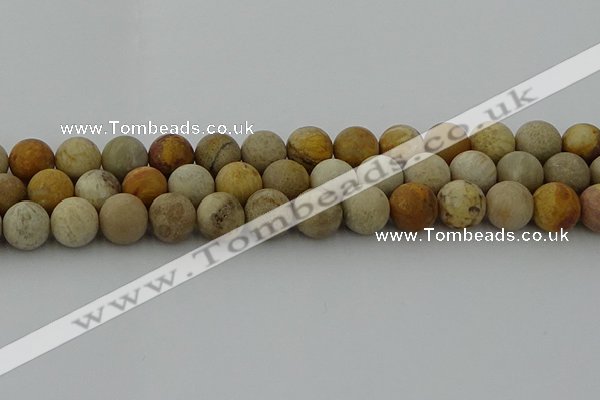 CFC224 15.5 inches 12mm round matte fossil coral beads wholesale