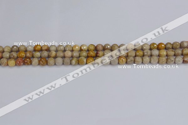 CFC228 15.5 inches 4mm faceted round fossil coral beads