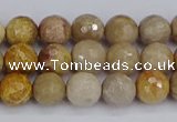 CFC229 15.5 inches 6mm faceted round fossil coral beads