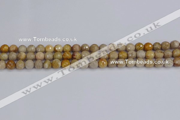 CFC229 15.5 inches 6mm faceted round fossil coral beads