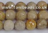 CFC230 15.5 inches 8mm faceted round fossil coral beads