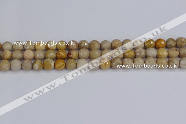 CFC230 15.5 inches 8mm faceted round fossil coral beads