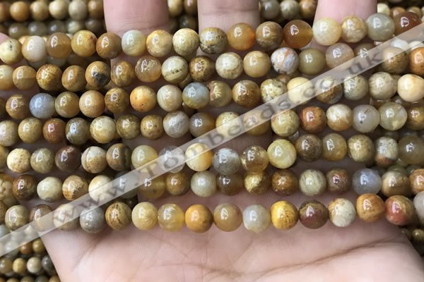 CFC321 15.5 inches 6mm round fossil coral beads wholesale