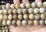 CFC325 15.5 inches 14mm round fossil coral beads wholesale