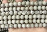 CFC331 15.5 inches 8mm round fossil coral beads wholesale