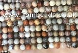 CFC341 15.5 inches 6mm round red fossil coral beads wholesale