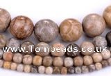 CFC55 15.5 inches round coral fossil jasper beads wholesale