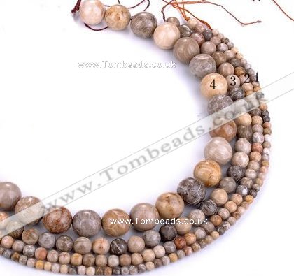 CFC55 15.5 inches round coral fossil jasper beads wholesale