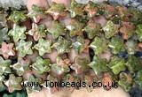 CFG1670 15 inches 14mm carved star unakite gemstone beads