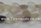 CFG765 15.5 inches 10*15mm carved animal fluorite gemstone beads