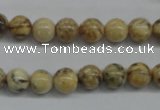 CFS02 15.5 inches 10mm round natural feldspar gemstone beads