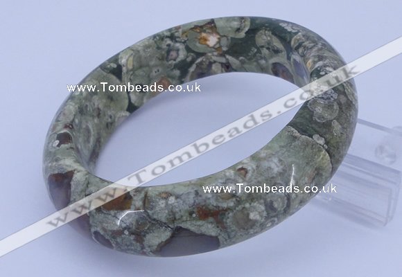 CGB476 Inner diameter 58mm fashion rhyolite gemstone bangle