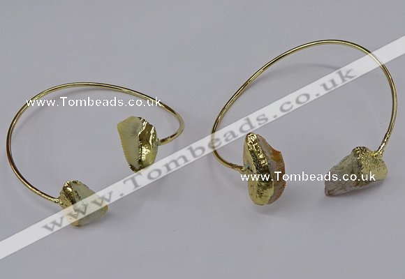 CGB902 12*16mm - 15*20mm freeform fish fossil bangles wholesale