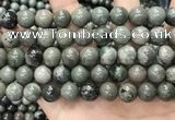 CGJ514 15.5 inches 12mm round green forst jasper beads wholesale