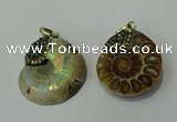 CGP271 25*30mm - 30*35mm ammonite pendants wholesale