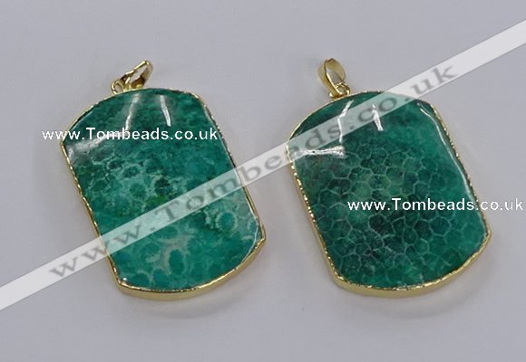 CGP3338 35*45mm - 35*50mm fossil coral pendants wholesale