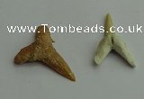 CGP541 15*25mm - 22*30mm shark teeth pendants wholesale