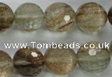 CGQ30 15.5 inches 20mm faceted round gold sand quartz beads