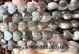 CHG363 15 inches 14mm faceted heart blood jasper beads
