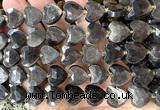 CHG376 15 inches 14mm faceted heart silver obsidian beads