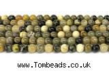 CHJ102 15 inches 8mm round honeybee jasper beads