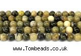 CHJ103 15 inches 10mm round honeybee jasper beads