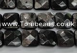 CHS26 15.5 inches 12*12mm faceted square natural hypersthene beads