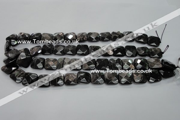 CHS27 15.5 inches 15*15mm faceted square natural hypersthene beads