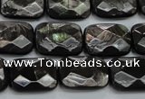 CHS37 15.5 inches 13*18mm faceted rectangle natural hypersthene beads