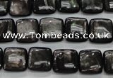 CHS81 15.5 inches 12*12mm square natural hypersthene beads
